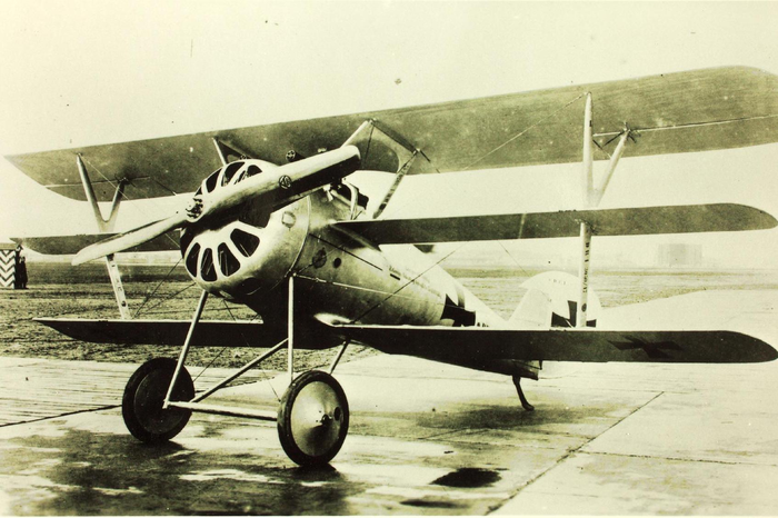 PFALZ Dr.1 TRIPLANE