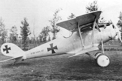 PFALZ D.III